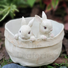 Load image into Gallery viewer, The Leaferie Lola Bunny flowerpot . resin material. 2 bunnies front view close up
