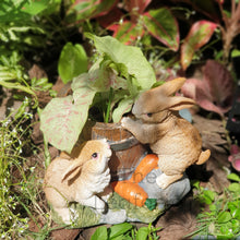 Load image into Gallery viewer,  The Leaferie Daisy May Rabbit flowerpot . 2 bunnies resin pot. top view with plant
