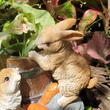 Load image into Gallery viewer,  The Leaferie Daisy May Rabbit flowerpot . 2 bunnies resin pot. top view of rabbit
