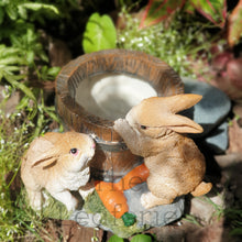 Load image into Gallery viewer, The Leaferie Daisy May Rabbit flowerpot . 2 bunnies resin pot. top view

