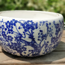 Load image into Gallery viewer, The Leaferie Fira shallow pot. white and blue ceramic pot. front view
