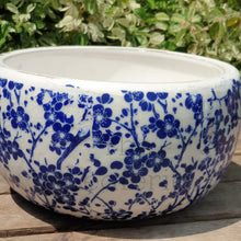 Load image into Gallery viewer, The Leaferie Fira shallow pot. white and blue ceramic pot. front view
