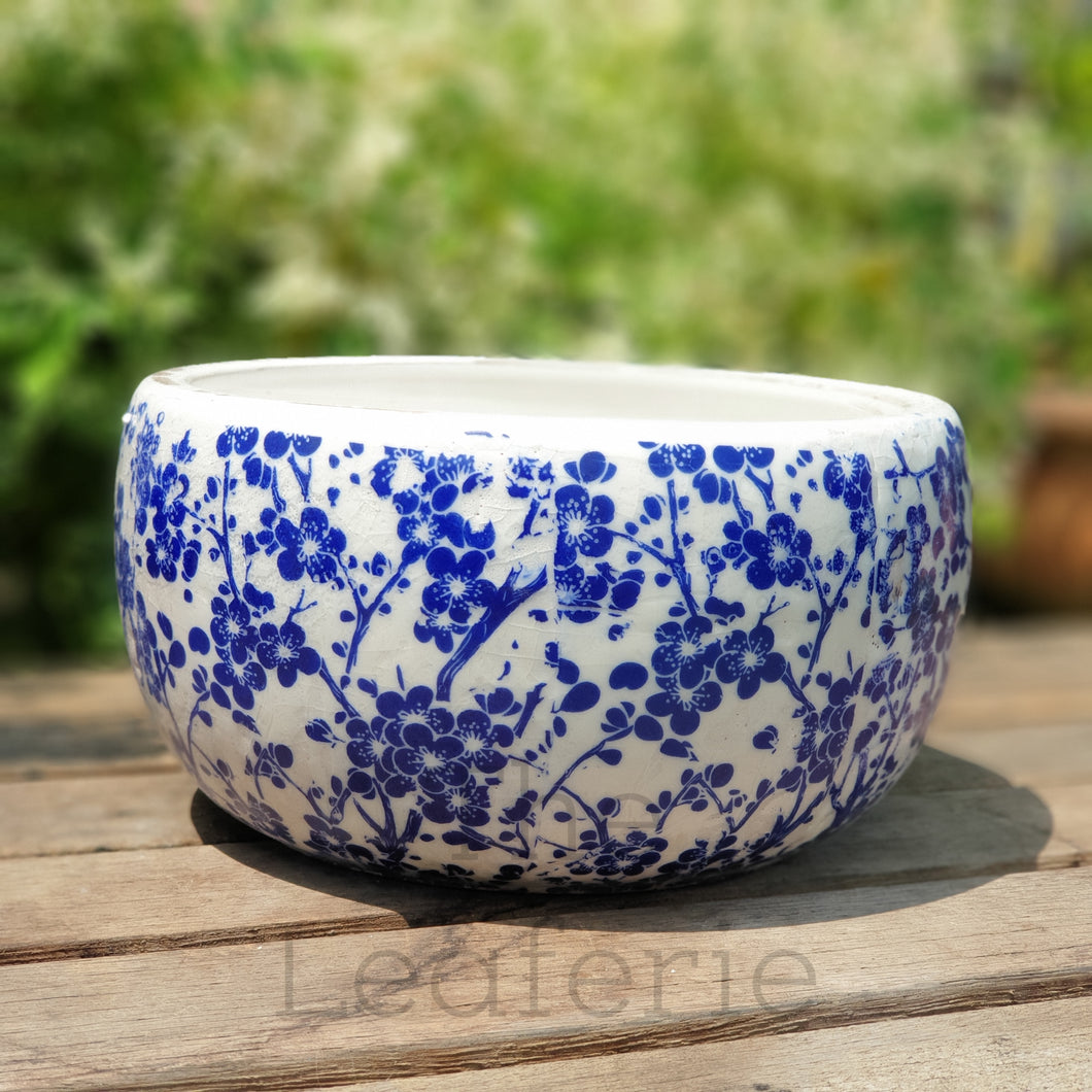 The Leaferie Fira shallow pot. white and blue ceramic pot. front view