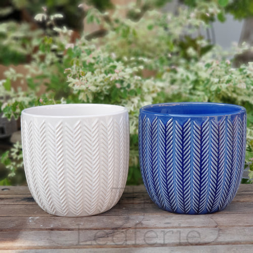 The Leaferie Oia Pot. 2 colours blue and white. ceramic material