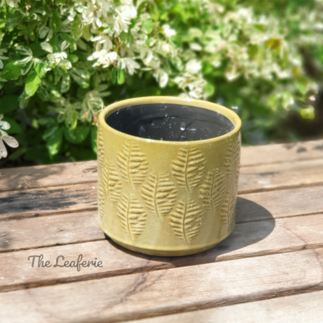 The Leaferie Aswan plant pot . green ceramic planter. top view