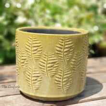 Load image into Gallery viewer, The Leaferie Aswan plant pot . green ceramic planter. front view . close up
