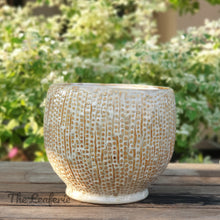 Load image into Gallery viewer, The Leaferie Tonga pot. 3 designs  and sizes. ceramic pot beige sparkly  colour . Design B
