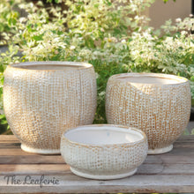 Load image into Gallery viewer, The Leaferie Tonga pot. 3 designs  and sizes. ceramic pot beige sparkly  colour
