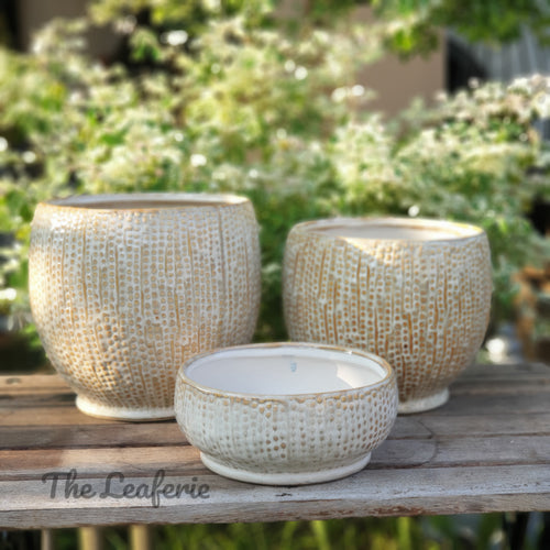 The Leaferie Tonga pot. 3 designs  and sizes. ceramic pot beige sparkly  colour