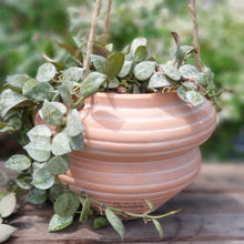 Load image into Gallery viewer, The Leaferie Lyon terracotta hanging pots series 3 . 5 designs
