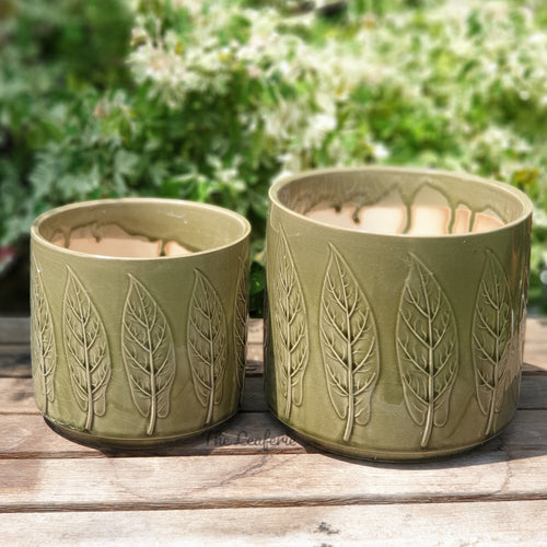 The Leaferie Nakhon green leaf ceramic pot. 2 sizes