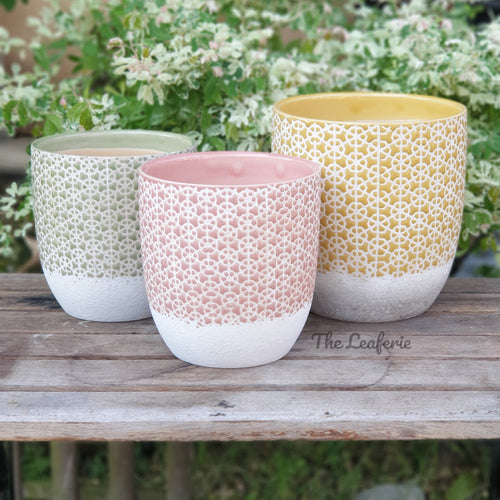 The Leaferie Denali ceramic flowerpot. 3 colours  green, pink and yellow. front view of the 3 colours
