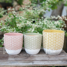 Load image into Gallery viewer, The Leaferie Denali ceramic flowerpot. 3 colours  green, pink and yellow. front view and size
