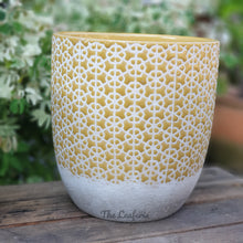 Load image into Gallery viewer, The Leaferie Denali ceramic flowerpot. 3 colours  green, pink and yellow. front view of Yellow
