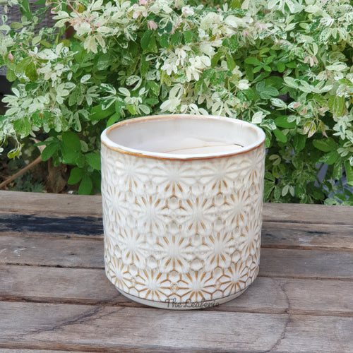 The Leaferie Acon pot front view . beige coloured ceramic pot . 