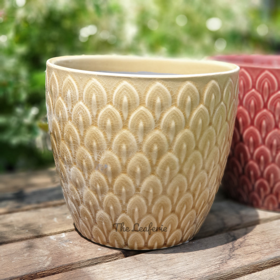 The Leaferie Cho oyu ceramic plant pot. 2 colours  flowerpot . front view lemon colour