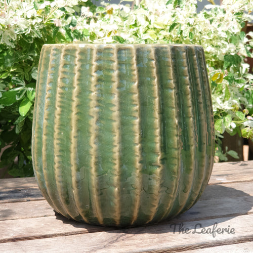 The Leaferie Batura Green ceramic pot. front view