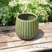 Load image into Gallery viewer, The Leaferie Batura Green ceramic pot. top view
