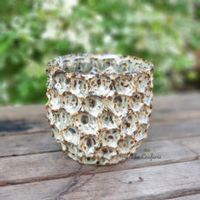 Load image into Gallery viewer, The Leaferie Gyala Planter. gold and blue colour
