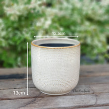 Load image into Gallery viewer, The Leaferie Bellevue beige ceramic pot. front view. measurement
