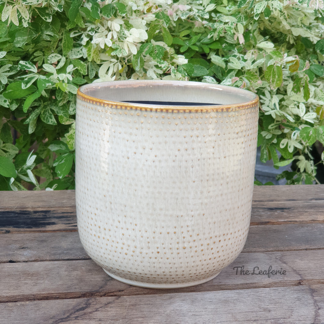 The Leaferie Bellevue beige ceramic pot. front view