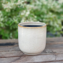 Load image into Gallery viewer, The Leaferie Bellevue beige ceramic pot. front view. close up
