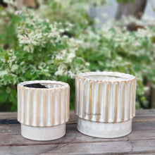 Load image into Gallery viewer, The Leaferie congo planter . ceramic plant pot. beige colour 2 sizes. front view
