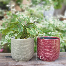 Load image into Gallery viewer, The Leaferie Carmel plant pot. sage and red ceramic flowerpot. front view. size
