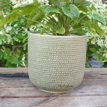 Load image into Gallery viewer, The Leaferie Carmel plant pot. sage and red ceramic flowerpot. front view green colour
