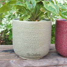 Load image into Gallery viewer, The Leaferie Carmel plant pot. sage and red ceramic flowerpot. front view of green pot
