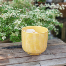 Load image into Gallery viewer, Olivet Pot
