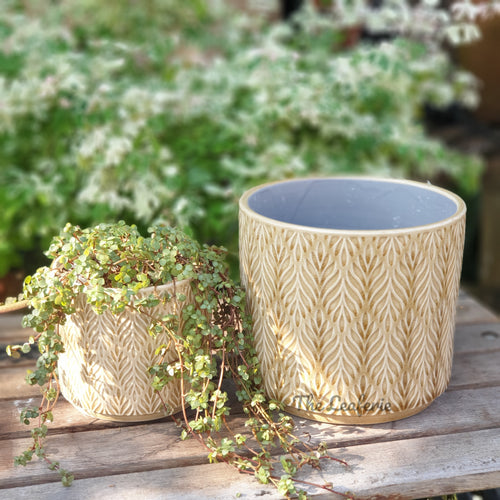 The Leaferie Nassau Flowerpot . 3 sizes. beige ceramic pot. 