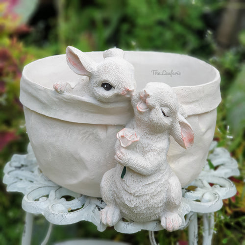 The Leaferie Emelie bunny planter. resin material. 2 rabbits pot. front view