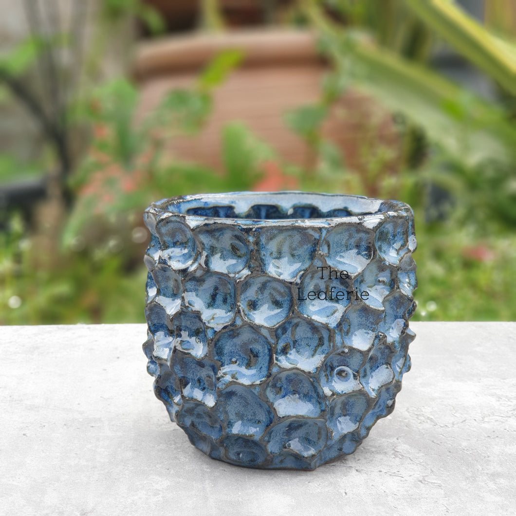 The Leaferie Gyala Planter. gold and blue colour