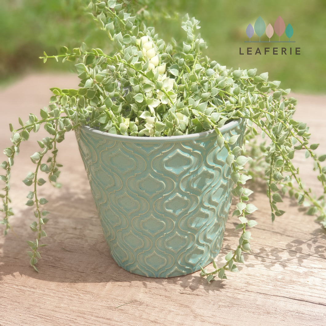 The Leaferie Agora plant pot. front view. ceramic
