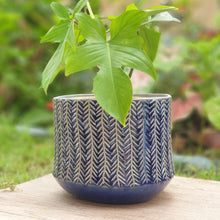 Load image into Gallery viewer, The Leaferie Atlantis plant pot. front view. Blue ceramic pot. Design A with plant
