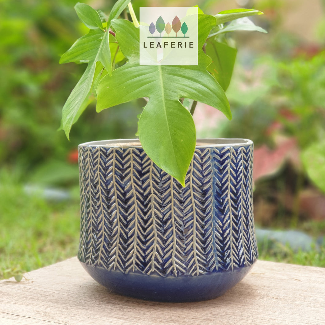 The Leaferie Atlantis plant pot. front view. Blue ceramic pot. Design A