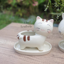 Load image into Gallery viewer, The Leaferie Simba Cat and dog Planter with tray. ceramic material
