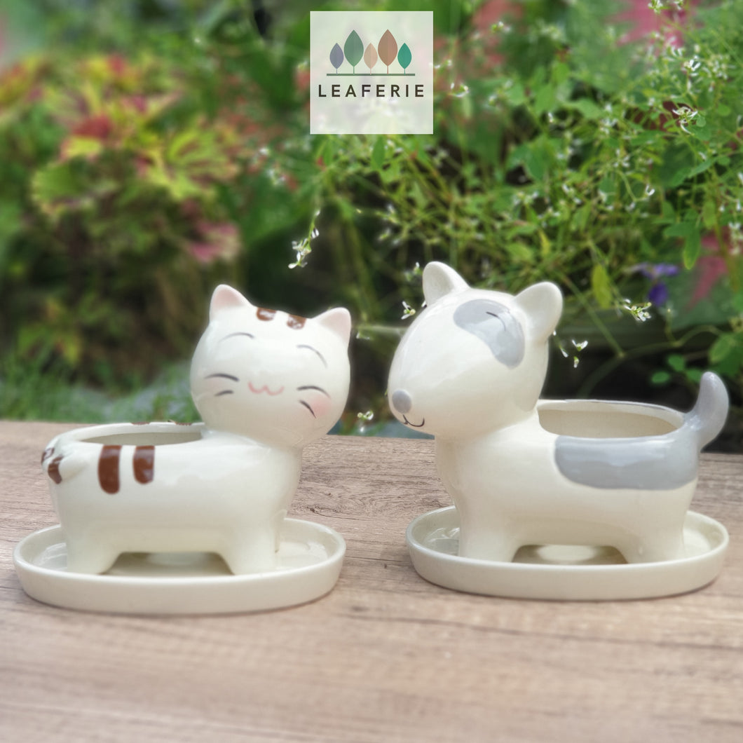 The Leaferie Simba Cat and dog Planter with tray. ceramic material