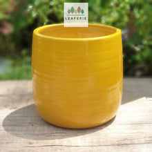 Load image into Gallery viewer, The Leaferie Finlay yellow ceramic plant pot. front view
