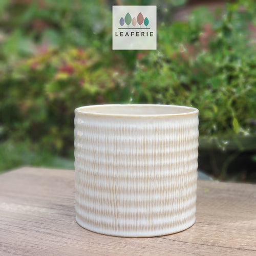 The Leaferie Camellia plant pot. white ceramic pot. front view