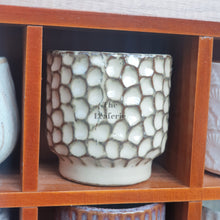 Load image into Gallery viewer, The Leaferie Petit pots Series 2. 12 ceramic small planters suitable for succulents. Design B
