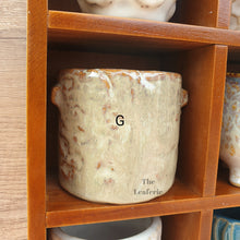 Load image into Gallery viewer, Petit Pots Series 3
