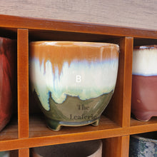 Load image into Gallery viewer, The Leaferie Petit pots Series 4. 11 ceramic small planter. suitable for succulents. Design B
