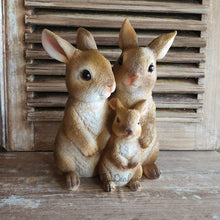 Load image into Gallery viewer, The Leaferie cinnabun rabbit garden decoration . bunny family made from resin. front view close up
