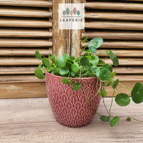 The Leaferie Nevola red flowerpot. ceramic material