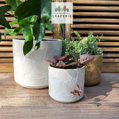 The Leaferie Tavo pot . 3 designs. ceramic pot with leaf inprint