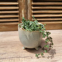 Load image into Gallery viewer, Rubra Pot
