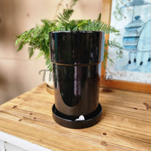 Load image into Gallery viewer, As-Is Pots Batch September 2022 (5 items)
