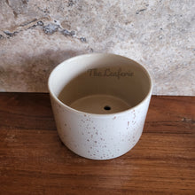 Load image into Gallery viewer, The Leaferie colby shallow planter . white ceramic with speckled . top view
